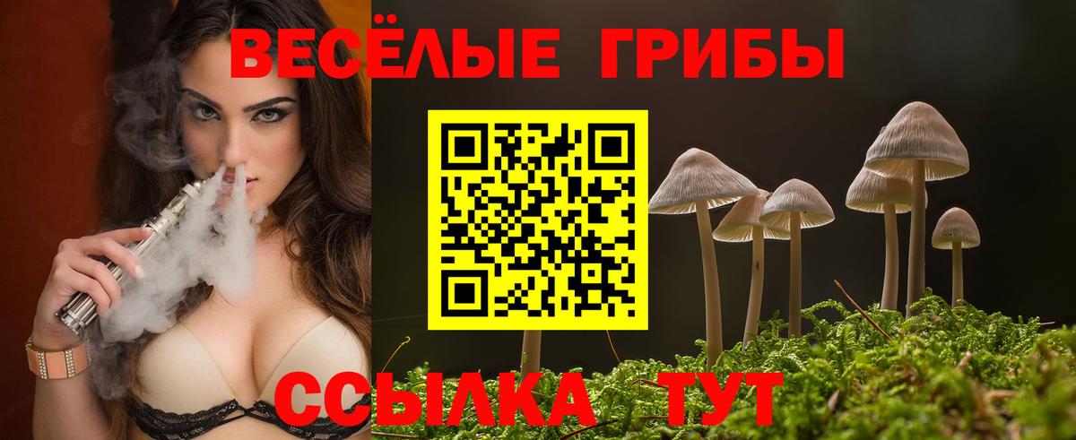 Кропоткин  Псилоцибиновые грибы GOLDEN TEACHER  где купить наркоту  Вход с VPN 